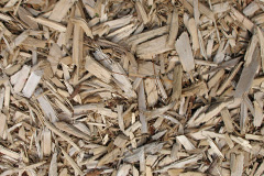 biomass boilers Bitterscote